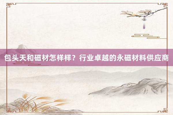 包头天和磁材怎样样？行业卓越的永磁材料供应商